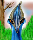 beware-the-cassowary