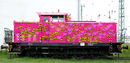 smiley-train