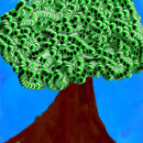 eye-tree eye-tree
