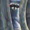 masked-bandit by selva