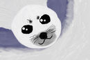 seal
