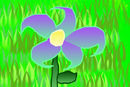 flower-power