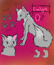 evelyn