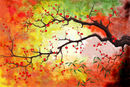 colors