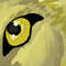 realism-wolf-eye by cheesy34