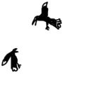 birdies
