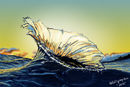 the-big-splash the-big-splash