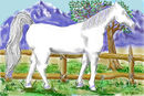 caballo-2