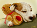 sweet-dreams