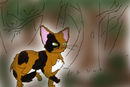 sorreltail