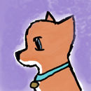 fox-for-ahmed-l