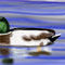 duck by mcdrawn