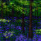 spring-oh-so-far-away by trazomboli