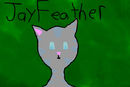 jayfeather