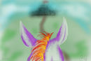 atop-a-painted-pony