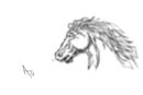 horsey-d
