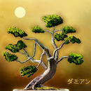 -bonsai-