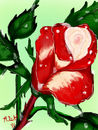 trying-to-bloom