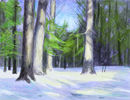 winter-in-forest