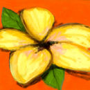 yellow-flower
