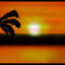 atardecer by atani13