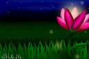 flower-in-the-night