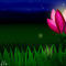 flower-in-the-night by xXChibiNerdXx