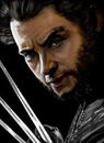 wolverine wolverine