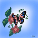 the-butterfly