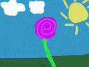 pink-tulip