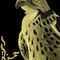 shahins-falcon by MissSuaifanOv