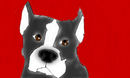 my-dream-dog