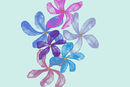 flowers flowers