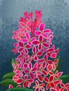 flower-experiment
