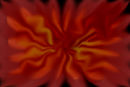 red-daze