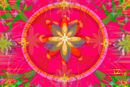 live-nature--and--joy live-nature--and--joy