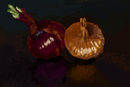 2-onions 2-onions