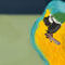 parrot by Erny