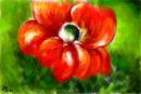 red-on-green red-on-green