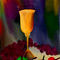 oil-painting by rosebuddy
