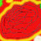 red-rose by XxXVampireKnightLuverXxX