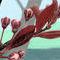 late-spring by cimmaron