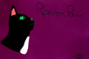 ravenpaw