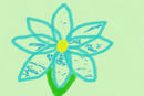 a-flower a-flower