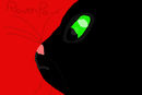 ravenpaw-face