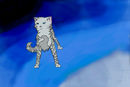 silverstream