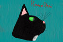 ravenpaw-detail