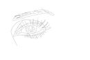 close-up-eye