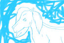 pony-try-1