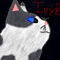ivypaw by rtsbts